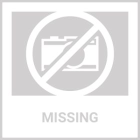 4Pcs Submersible RGB LED Lights IP68 Waterproof Underwater Color Changing Lamps Remote Control