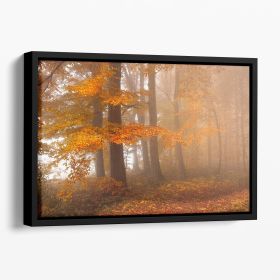 Edge Of The Woods Floating Framed Canvas (Color: Black, size: 12" x 8" / 30cm x 20cm (approx))