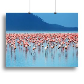 African safari flamingos in the lake Canvas Print or Poster (Type: Poster Print, size: 24" x 16" / 60cm x 40cm (approx))