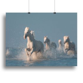 Angels of Camargue Canvas Print or Poster (Type: Standard Framed Canvas Print, size: 40" x 26" / 100cm x 65cm approx)