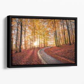 Road In Sapderaysen Nationalpark Sweden Floating Framed Canvas (Color: Black, size: 16" x 12" / 42cm x 30cm (approx))