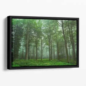 Forest View Floating Framed Canvas (Color: Black, size: 12" x 8" / 30cm x 20cm (approx))
