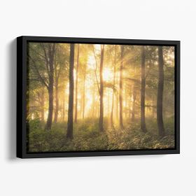 It's Nice To Love Floating Framed Canvas (Color: Black, size: 40" x 26" / 100cm x 65cm (approx))