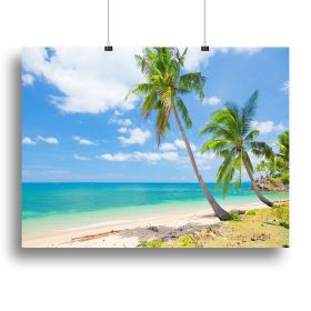 tropical beach with coconut palm Canvas Print or Poster (Type: Standard Framed Canvas Print, size: 32" x 24" / 80cm x 60cm (approx))