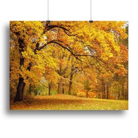 Gold Trees in a park Canvas Print or Poster (Type: Poster Print, size: 28" x 20" / 70cm x 50cm (approx))